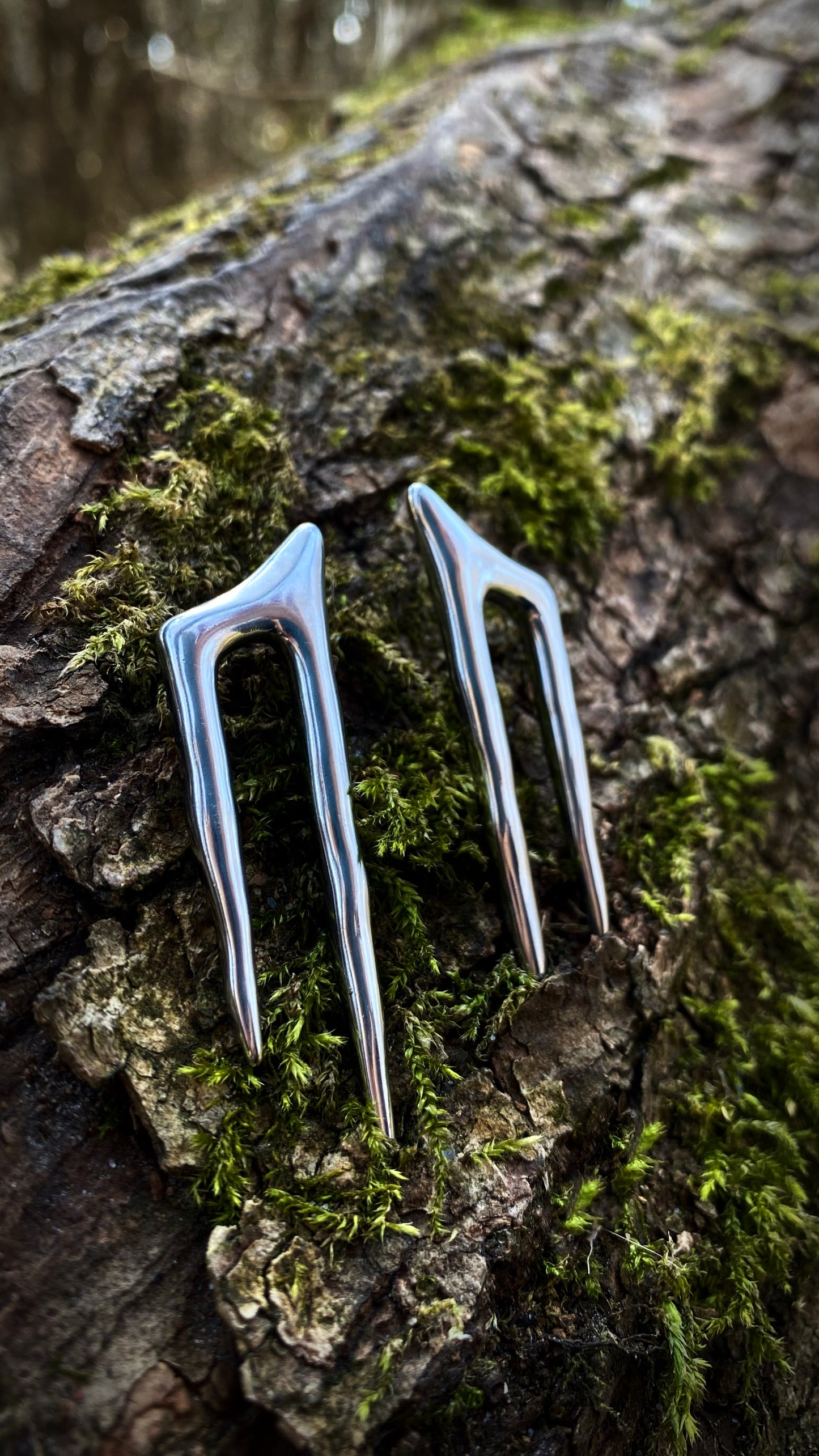 Wyvern Claw Ear Weights | Stainless Steel | A pair