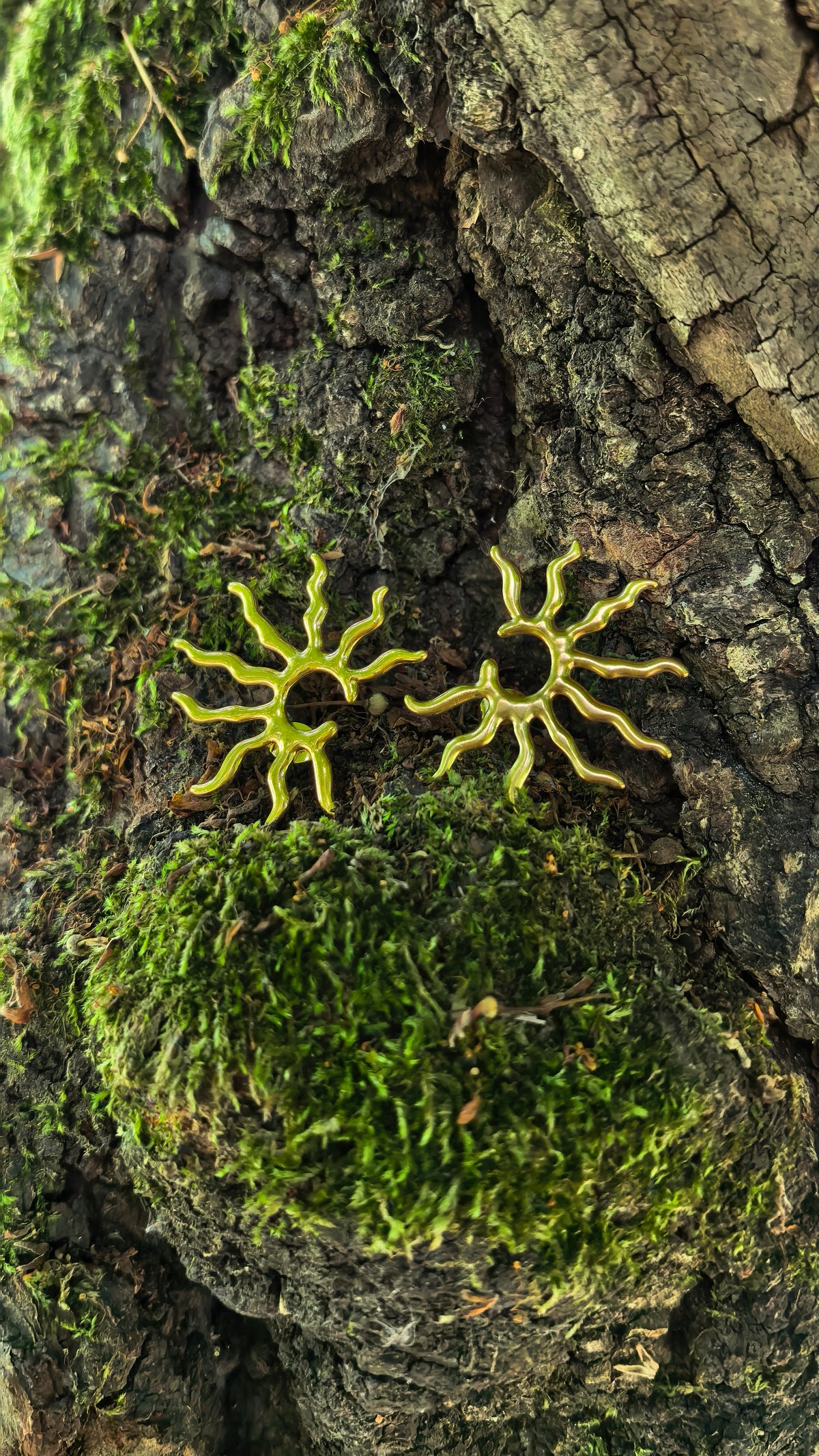Wild Sun earrings