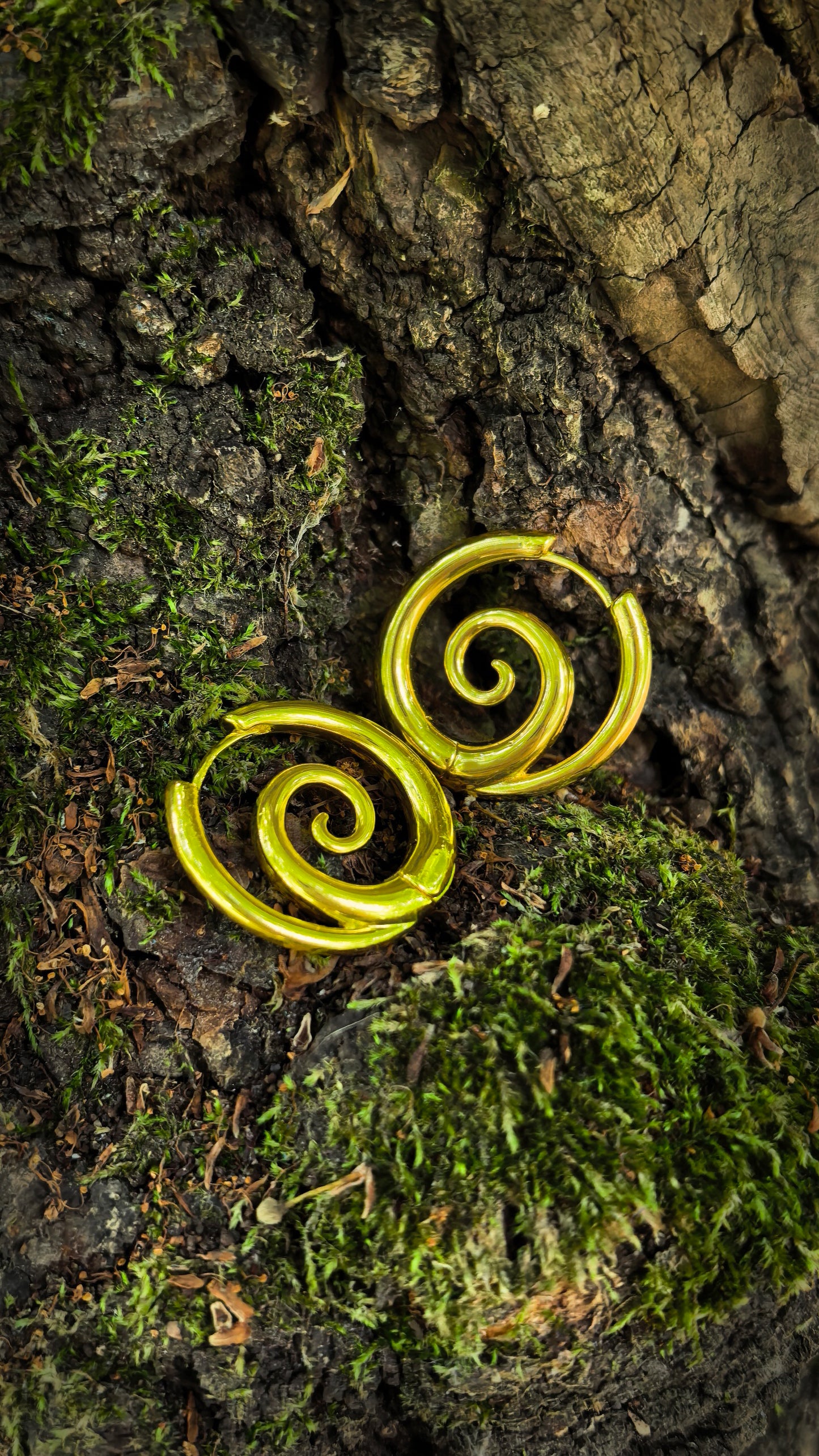 Ancient Spiral Earrings