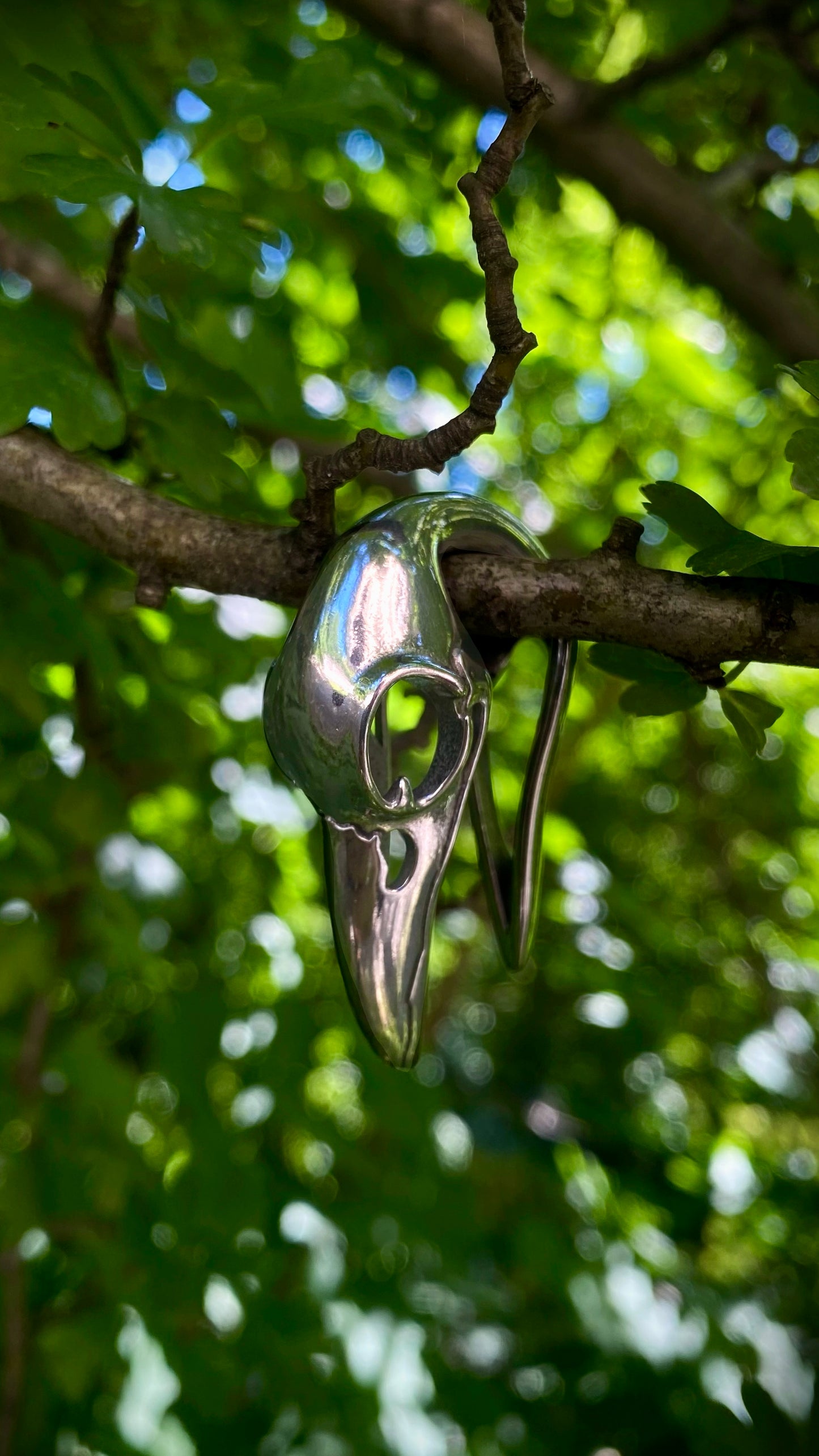 Ravenmark Crow Skull ear weights | Stainless Steel, A Pair