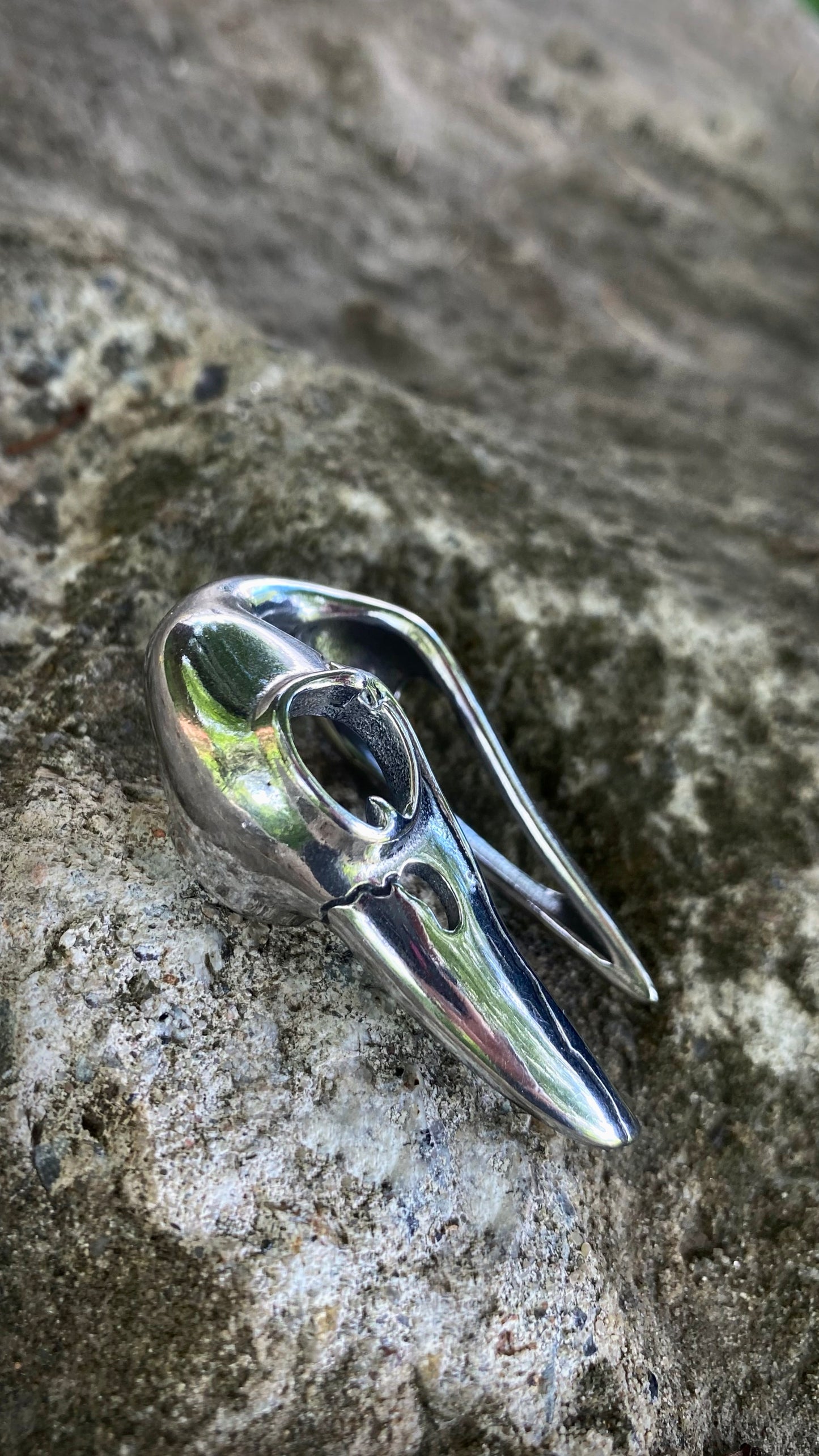 Ravenmark Crow Skull ear weights | Stainless Steel, A Pair