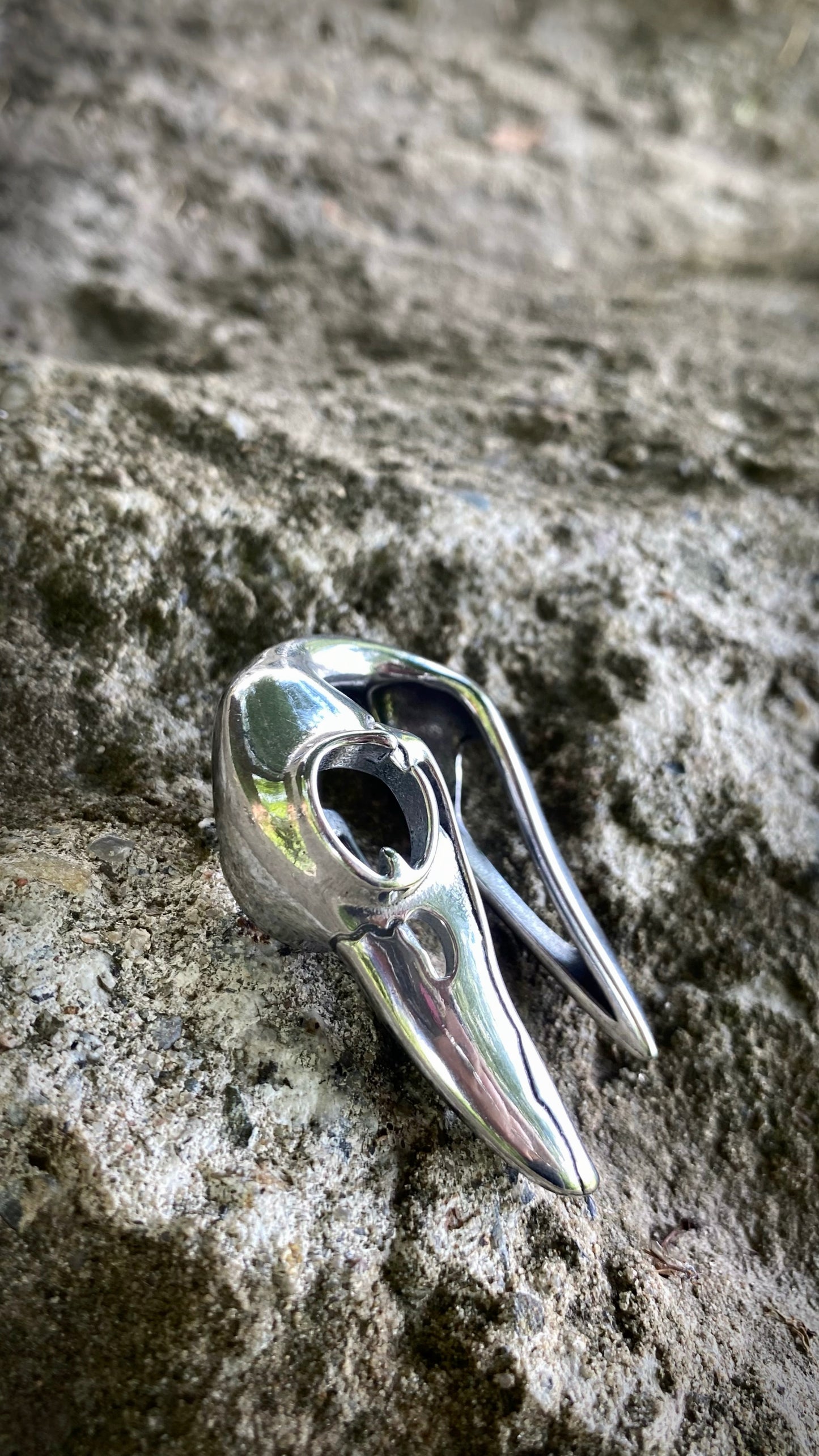 Ravenmark Crow Skull ear weights | Stainless Steel, A Pair