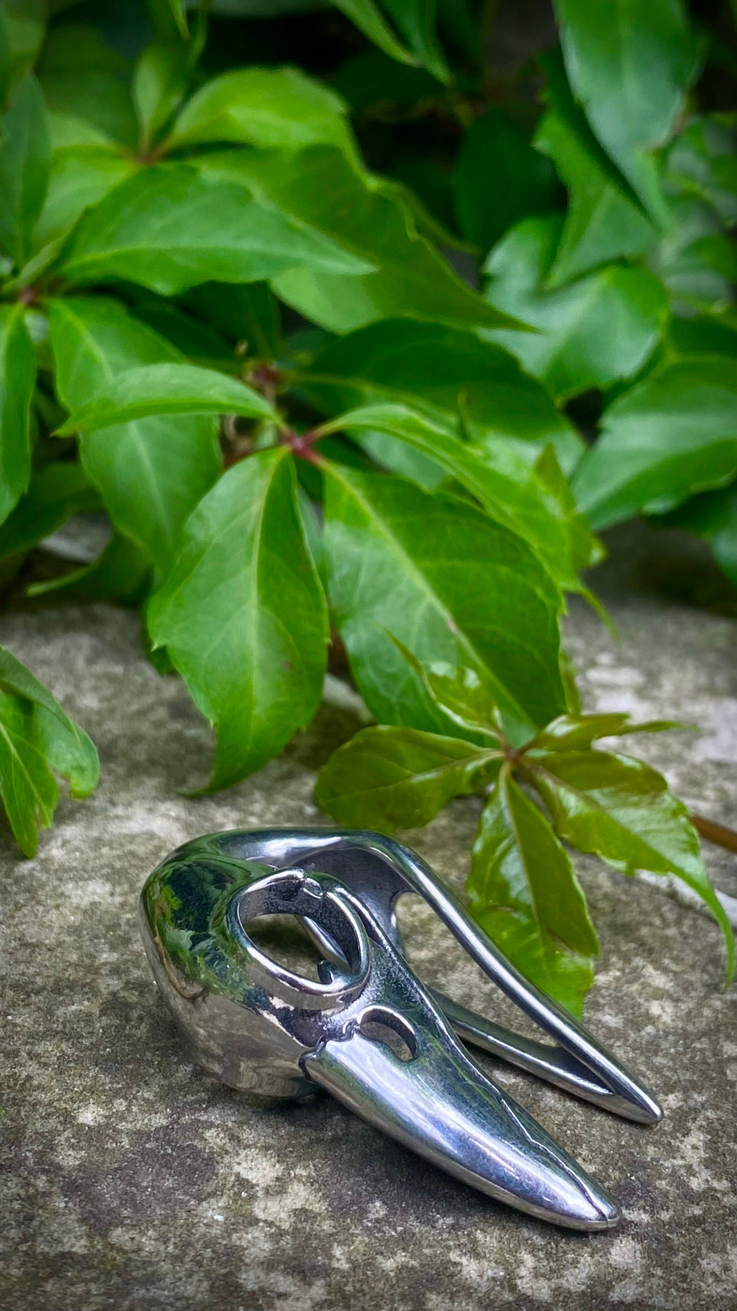 Ravenmark Crow Skull ear weights | Stainless Steel, A Pair