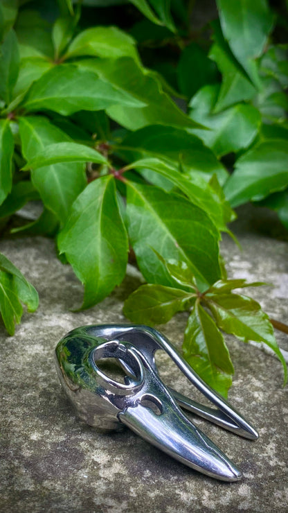 Ravenmark Crow Skull ear weights | Stainless Steel, A Pair