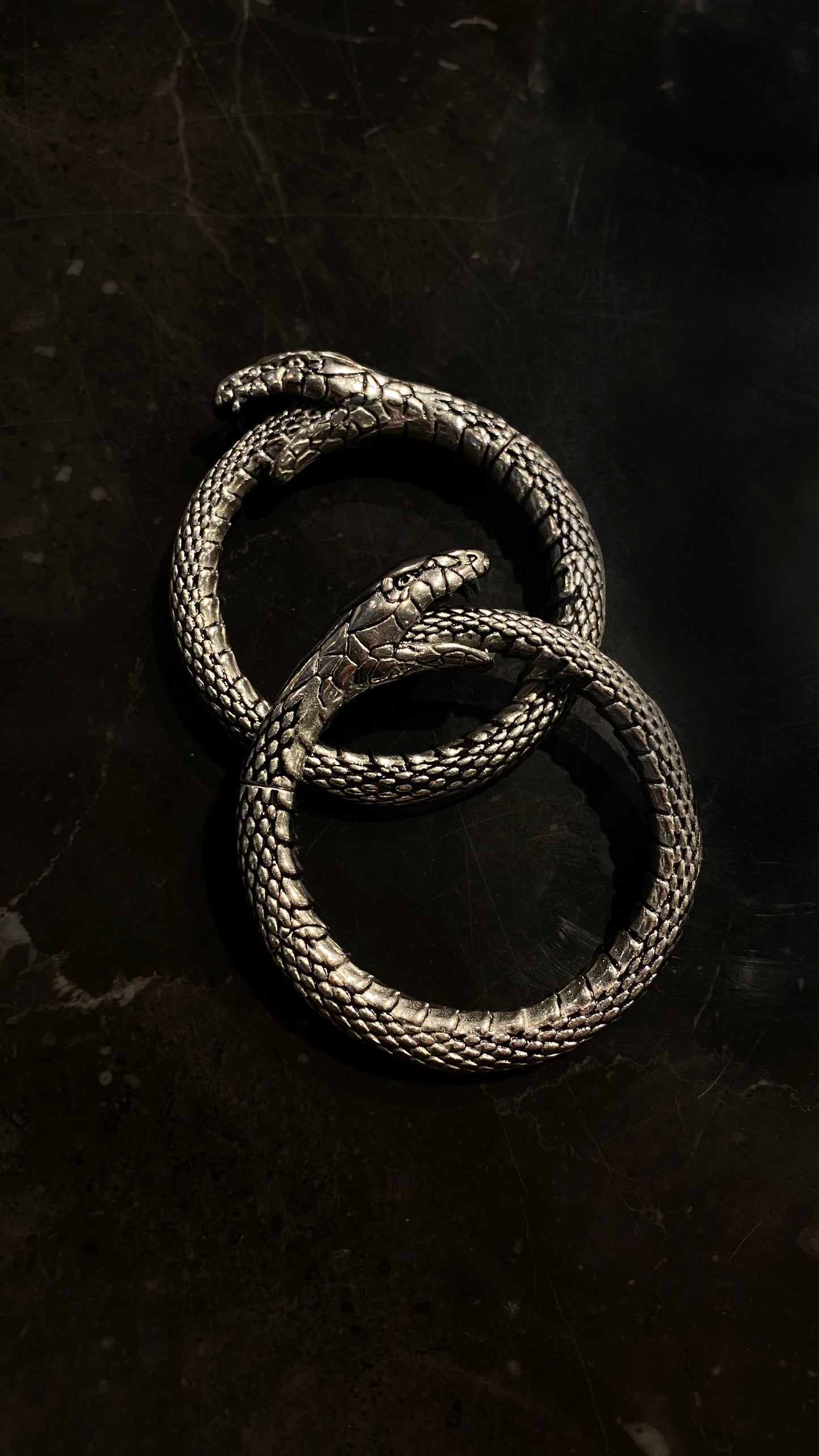 Uroboros Ear Weights | Stainless Steel, A pair