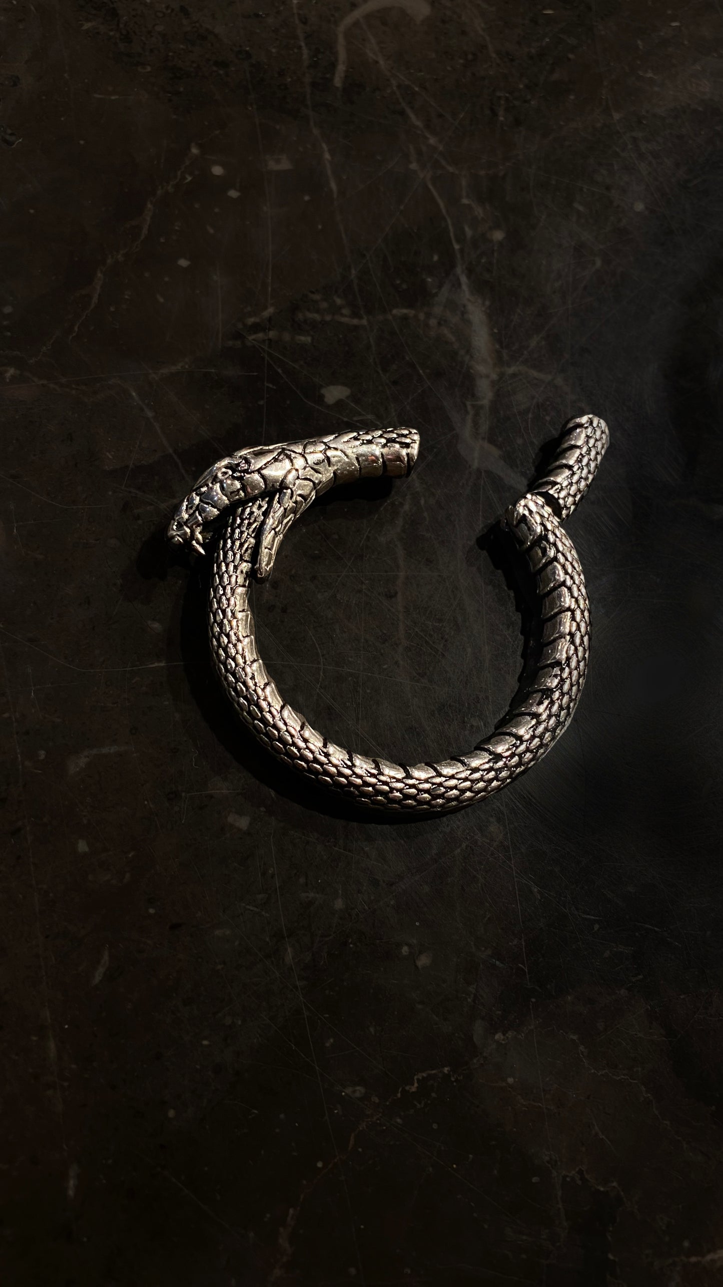 Uroboros Ear Weights | Stainless Steel, A pair