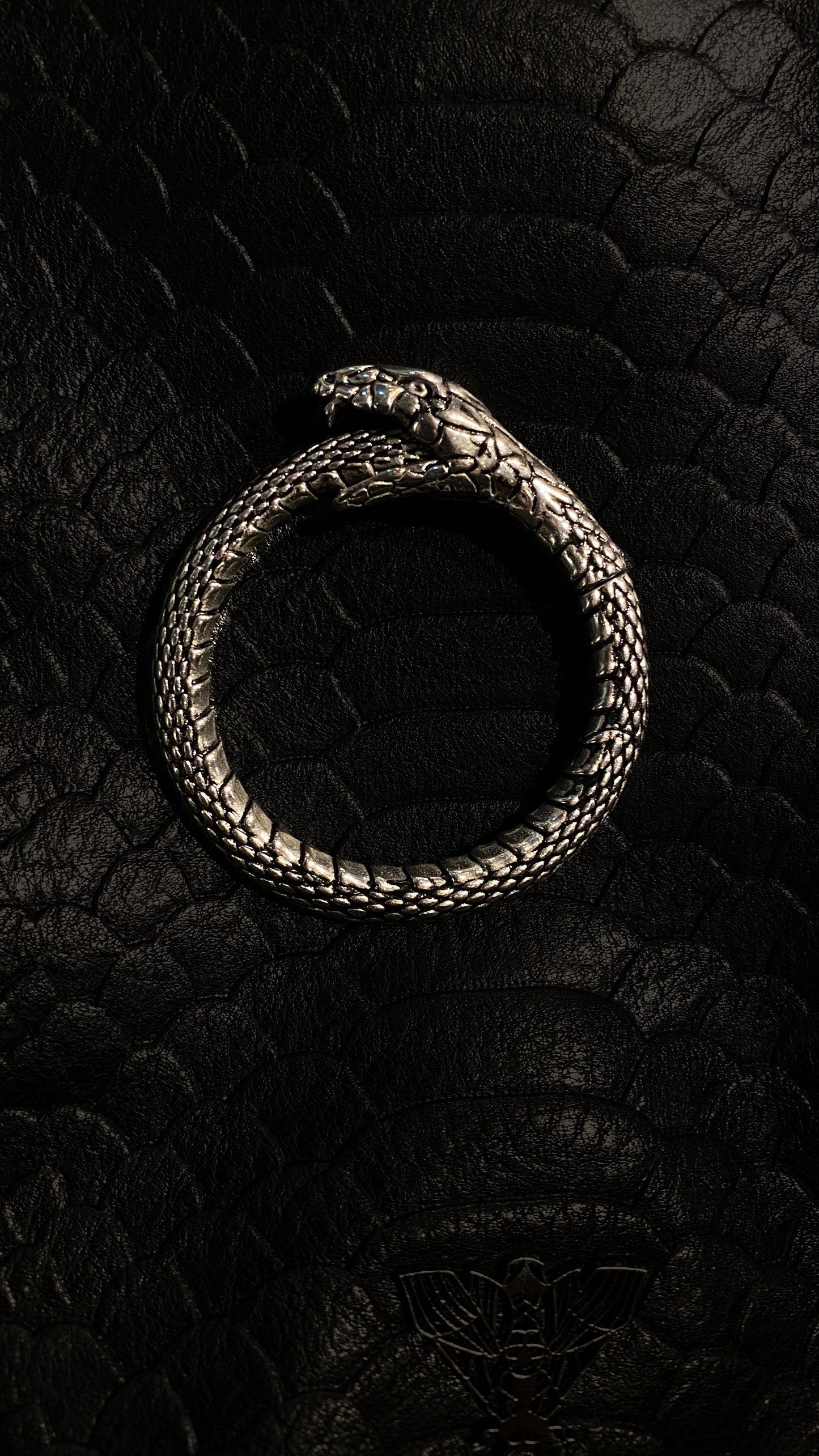 Uroboros Ear Weights | Stainless Steel, A pair