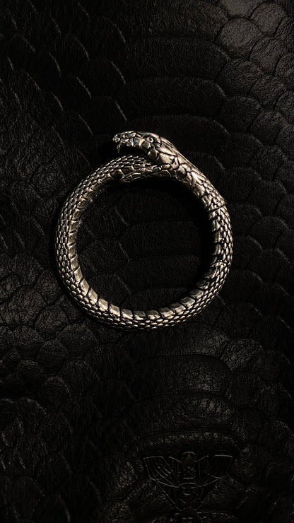 Uroboros Ear Weights | Stainless Steel, A pair