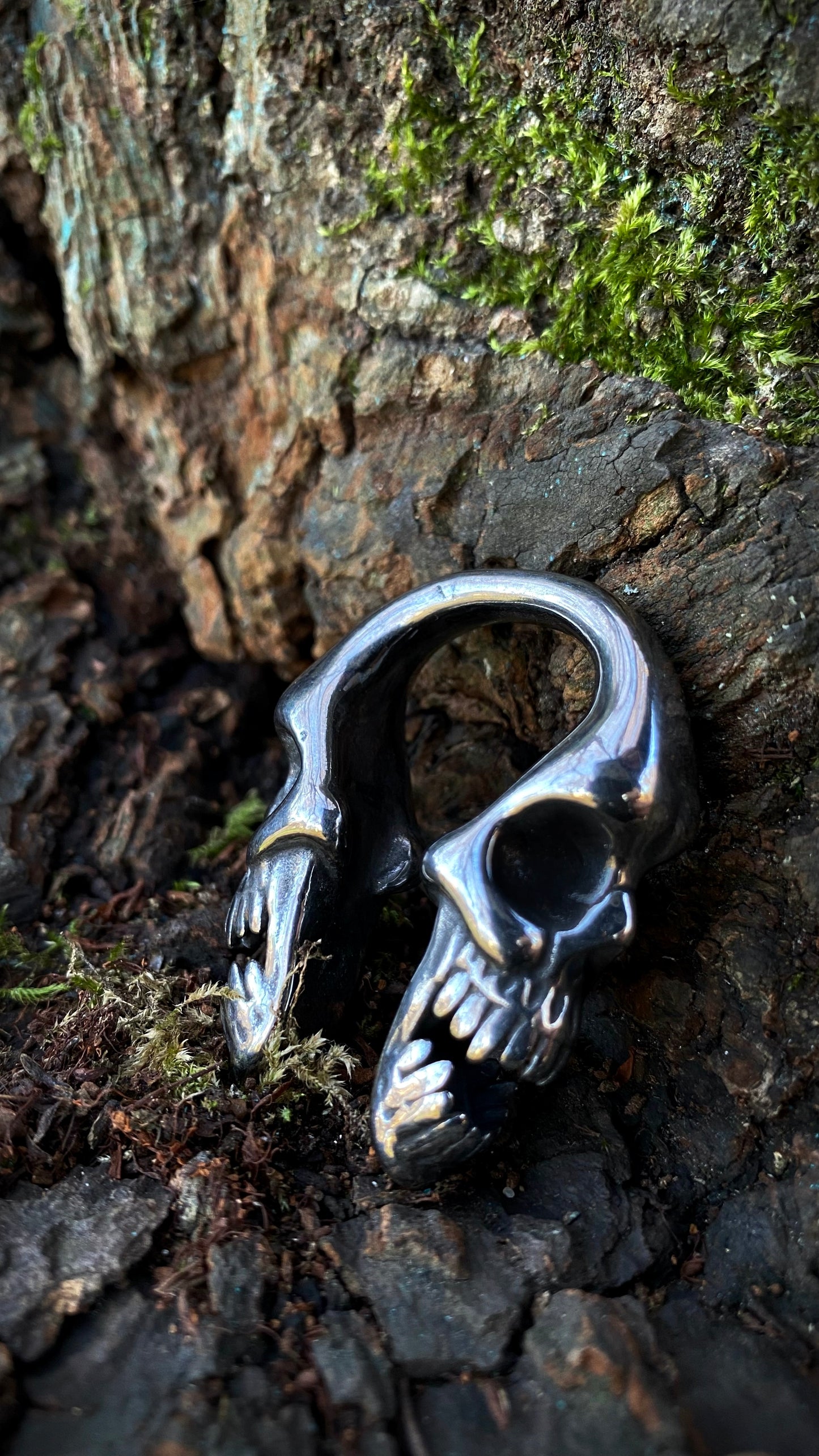 Deadweight Skull Ear Weight | Stainless Steel, one piece