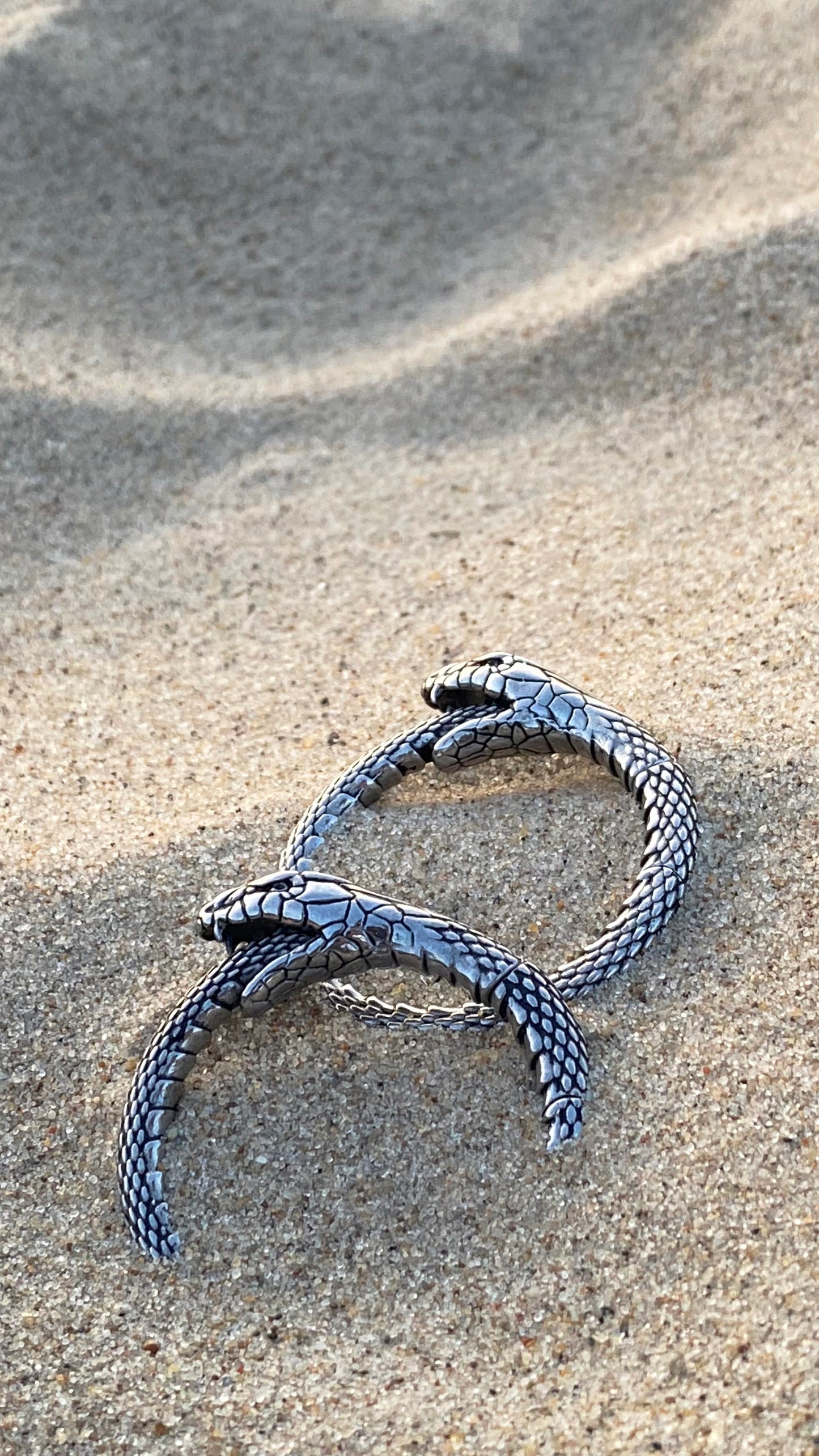Uroboros Ear Weights | Stainless Steel, A pair
