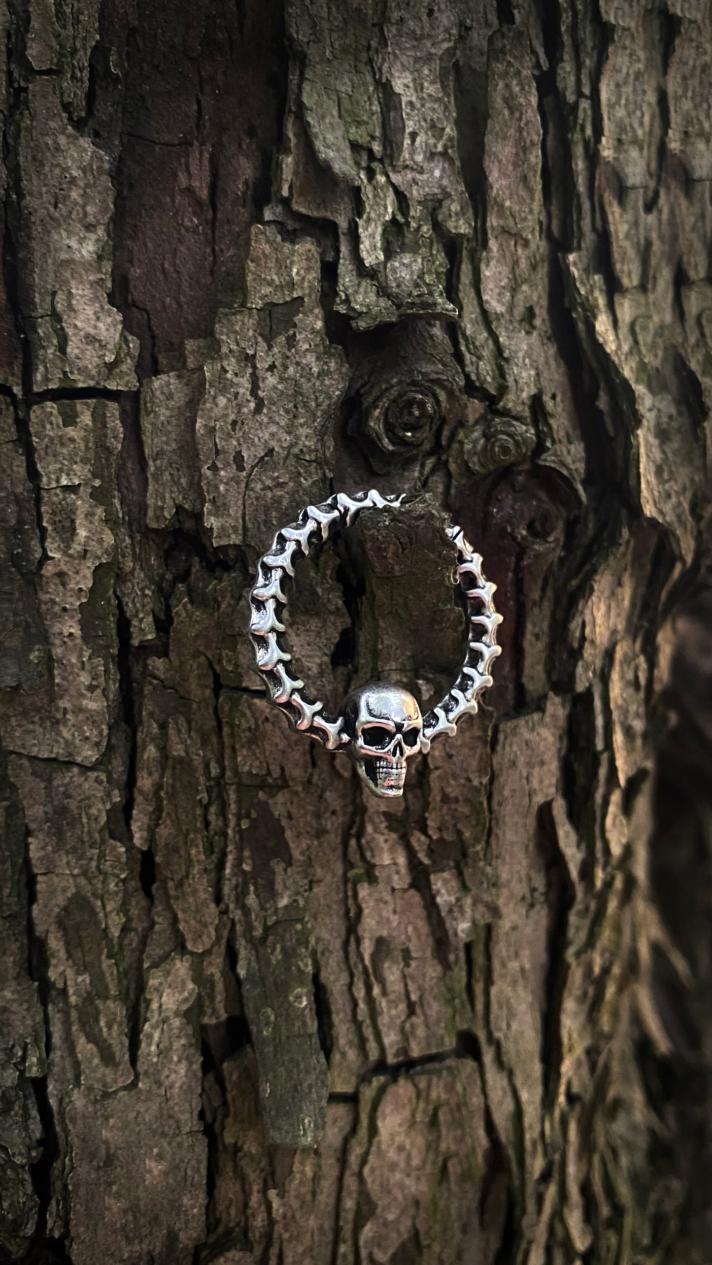 Skull Tunnel Weights | Stainless Steel | A pair