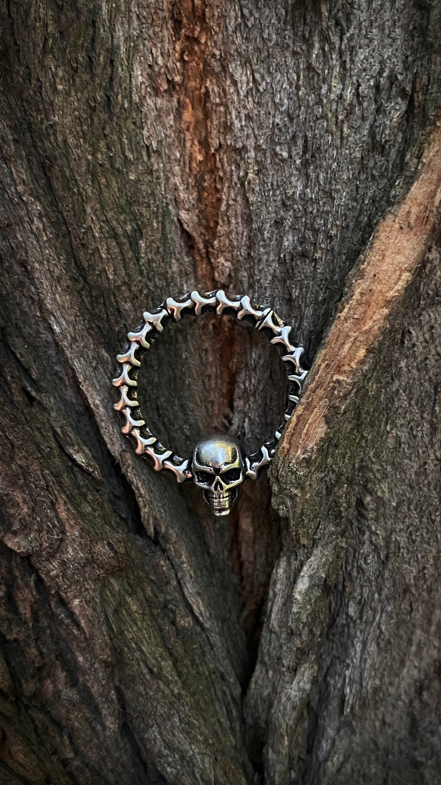 Skull Tunnel Weights | Stainless Steel | A pair