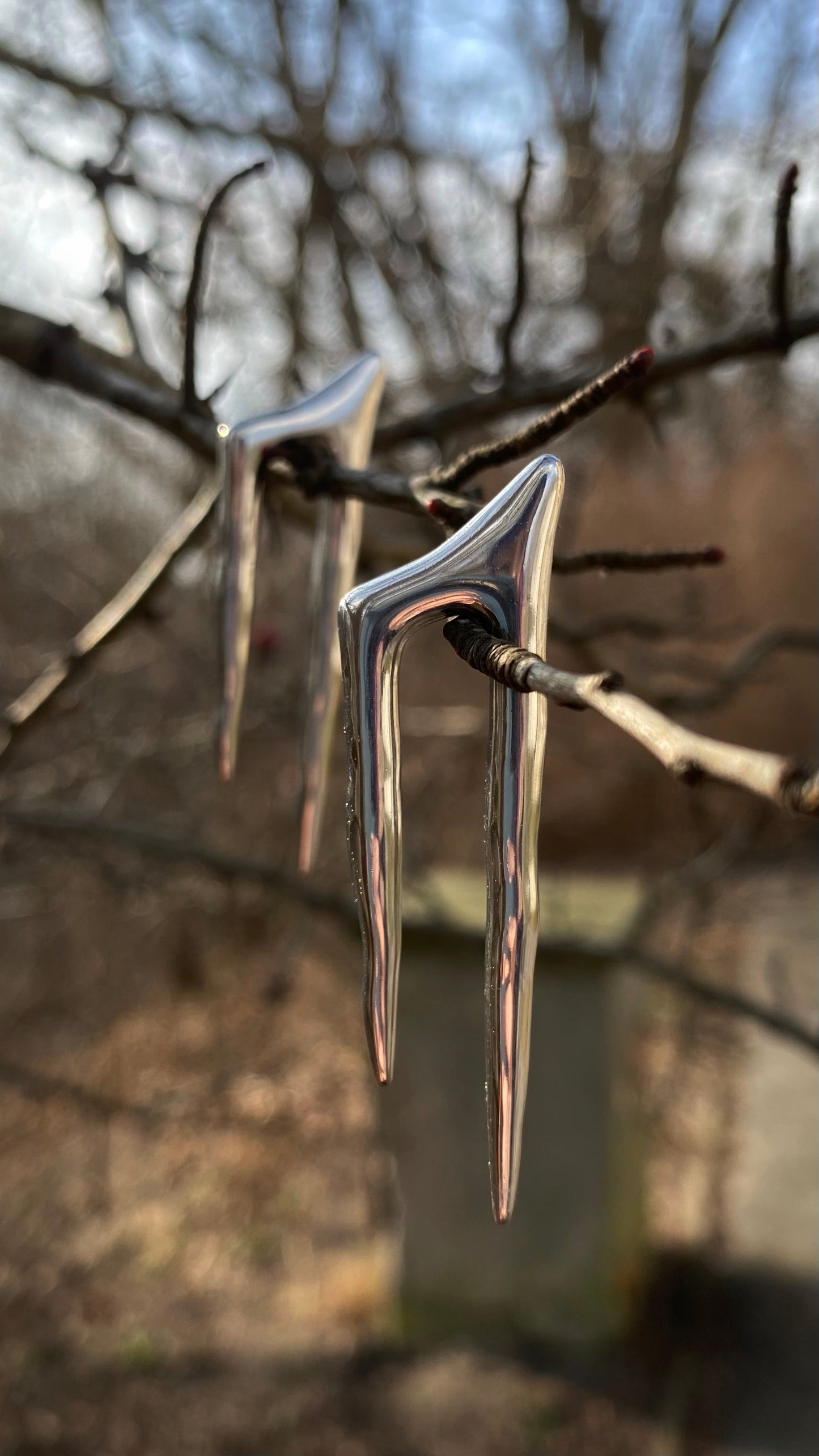 Wyvern Claw Ear Weights | Stainless Steel | A pair
