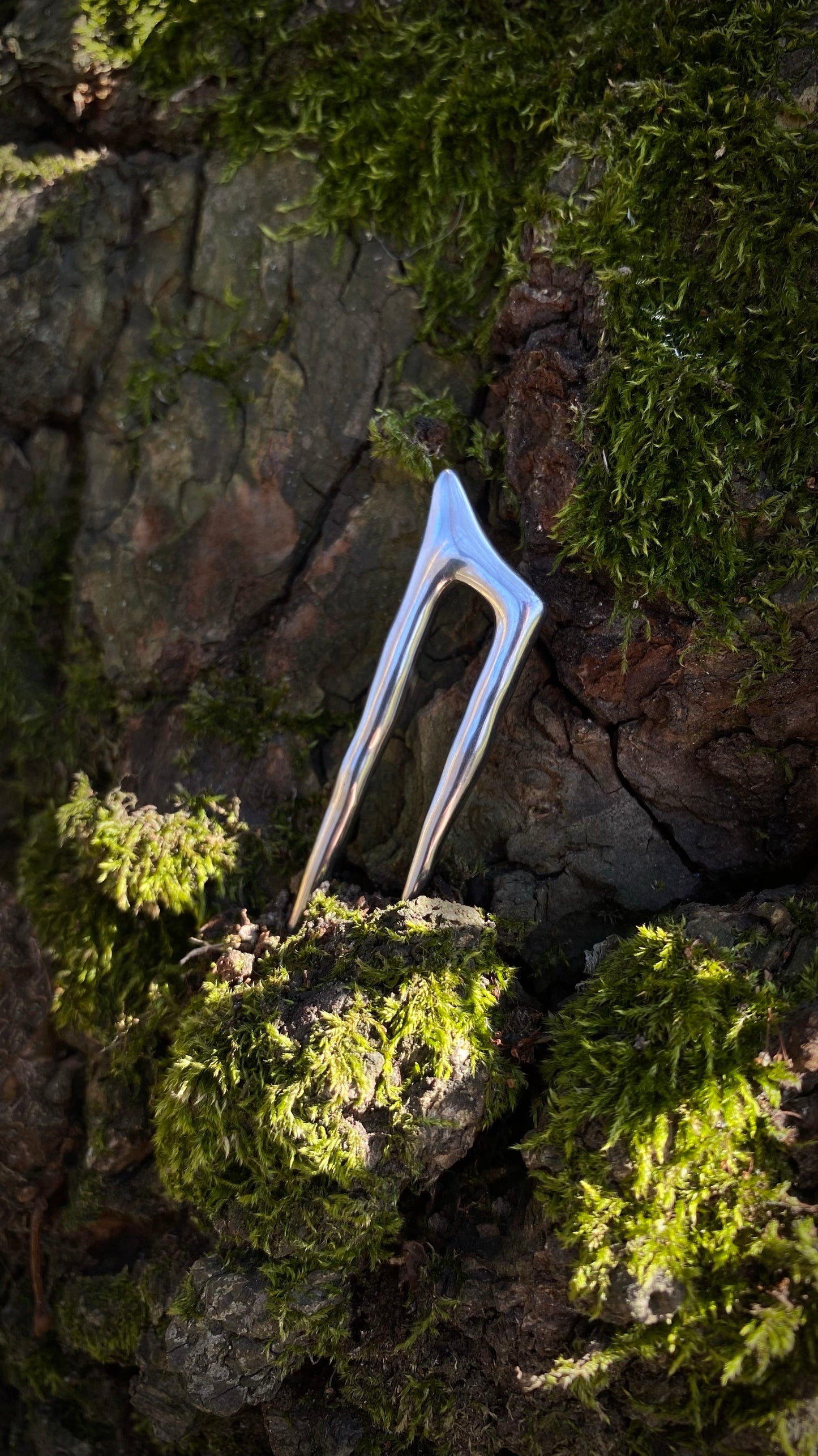 Wyvern Claw Ear Weights | Stainless Steel | A pair