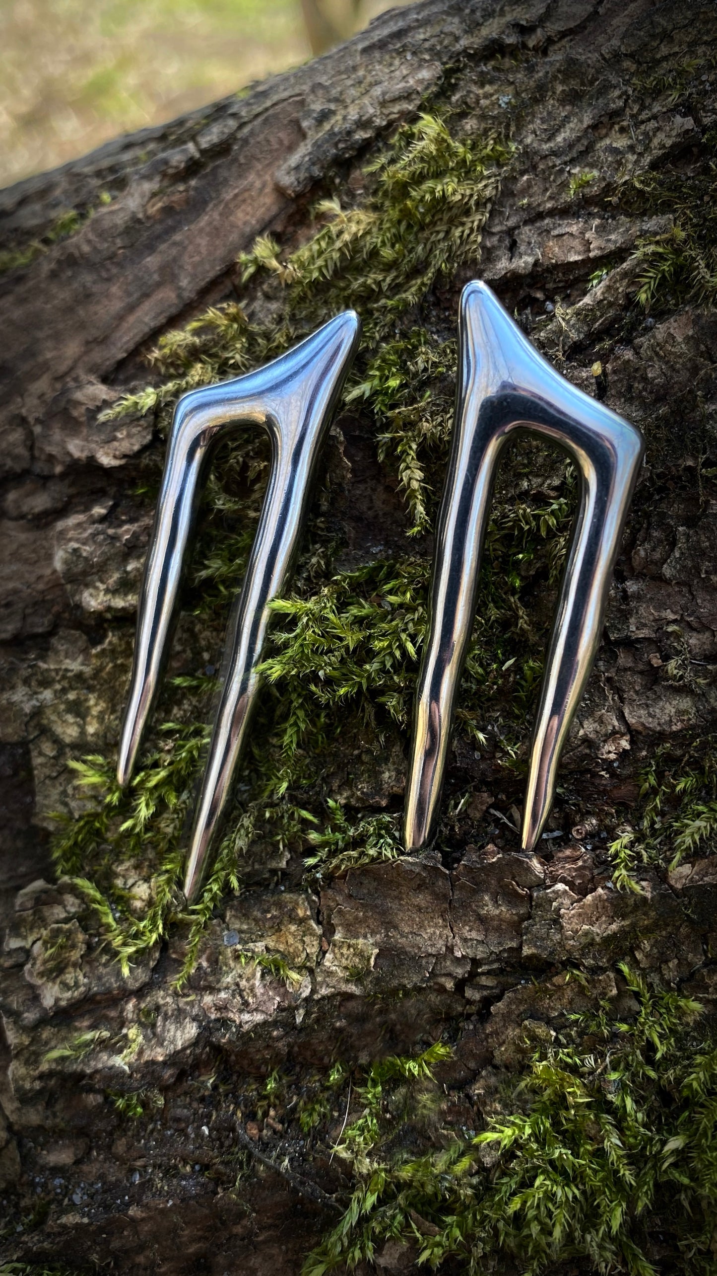 Wyvern Claw Ear Weights | Stainless Steel | A pair