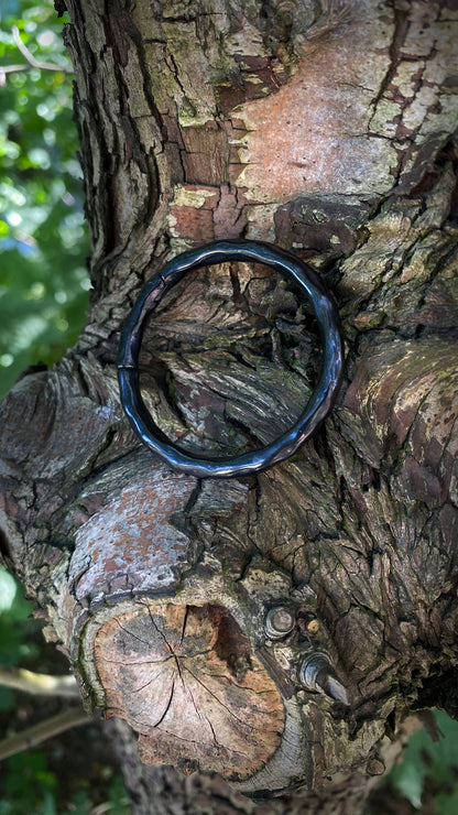 The Omni Hoops | Tunnels | Stainless Steel, A Pair