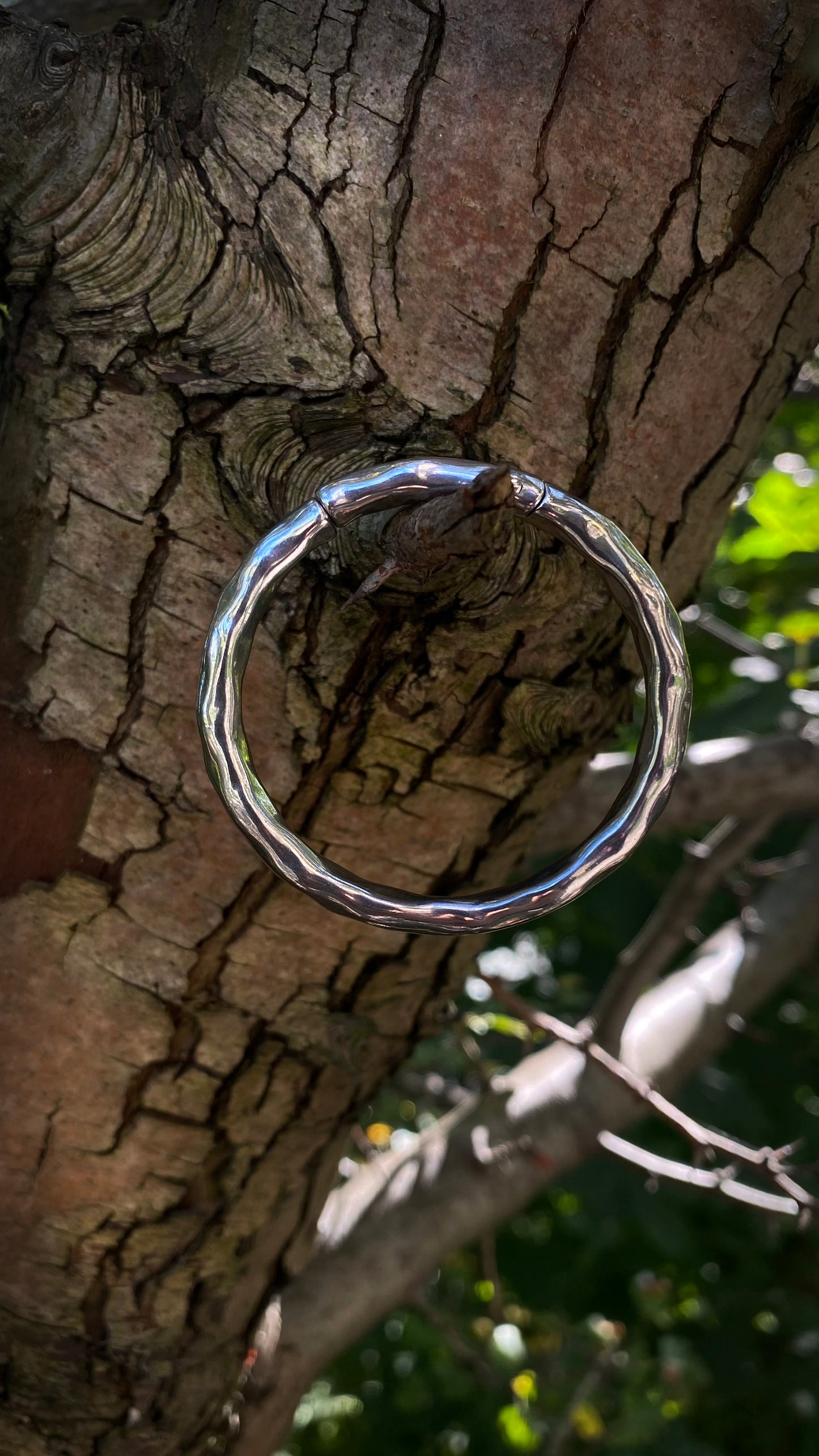 The Omni Hoops | Tunnels | Stainless Steel, A Pair