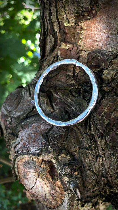 The Omni Hoops | Tunnels | Stainless Steel, A Pair