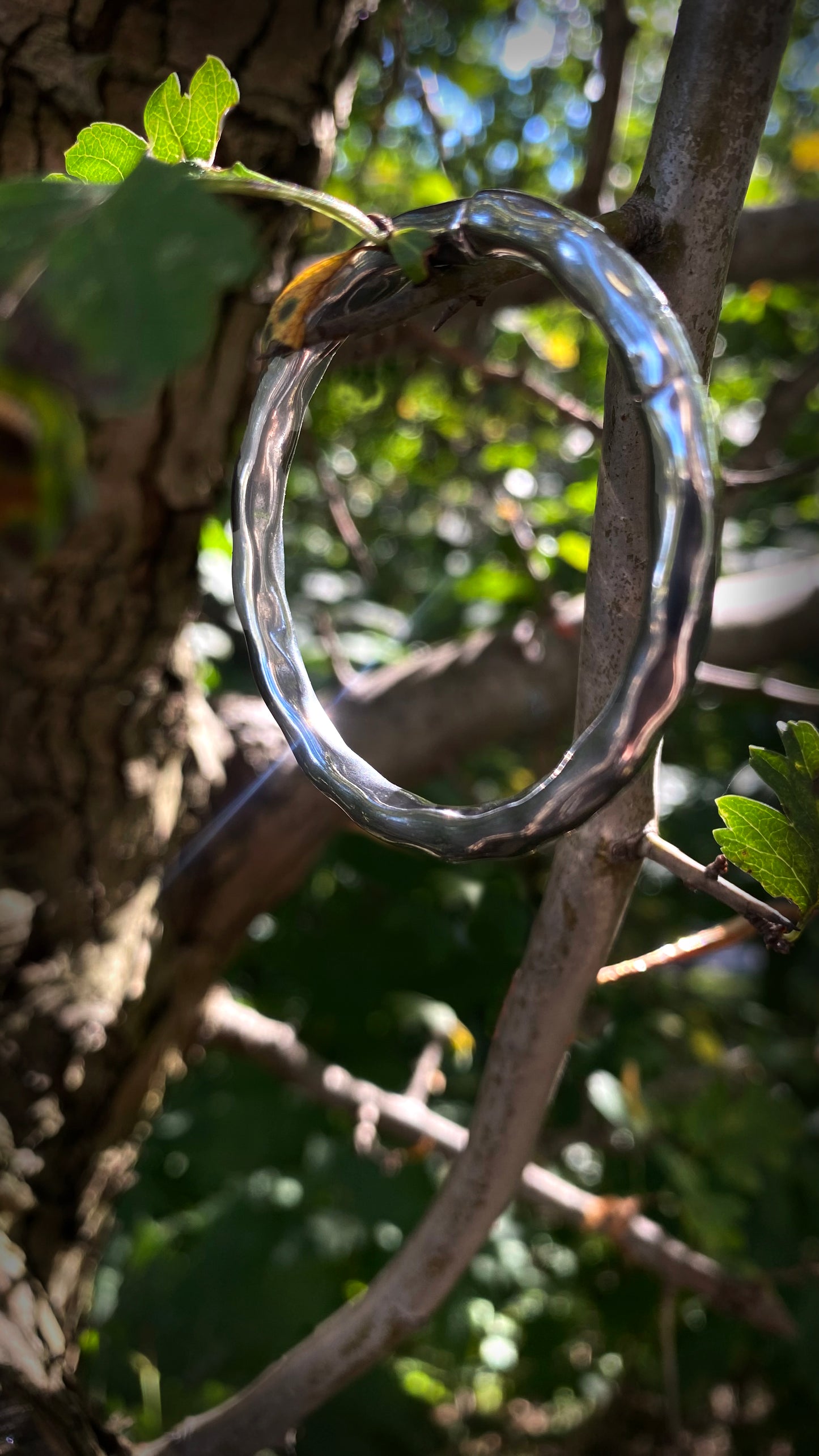 The Omni Hoops | Tunnels | Stainless Steel, A Pair