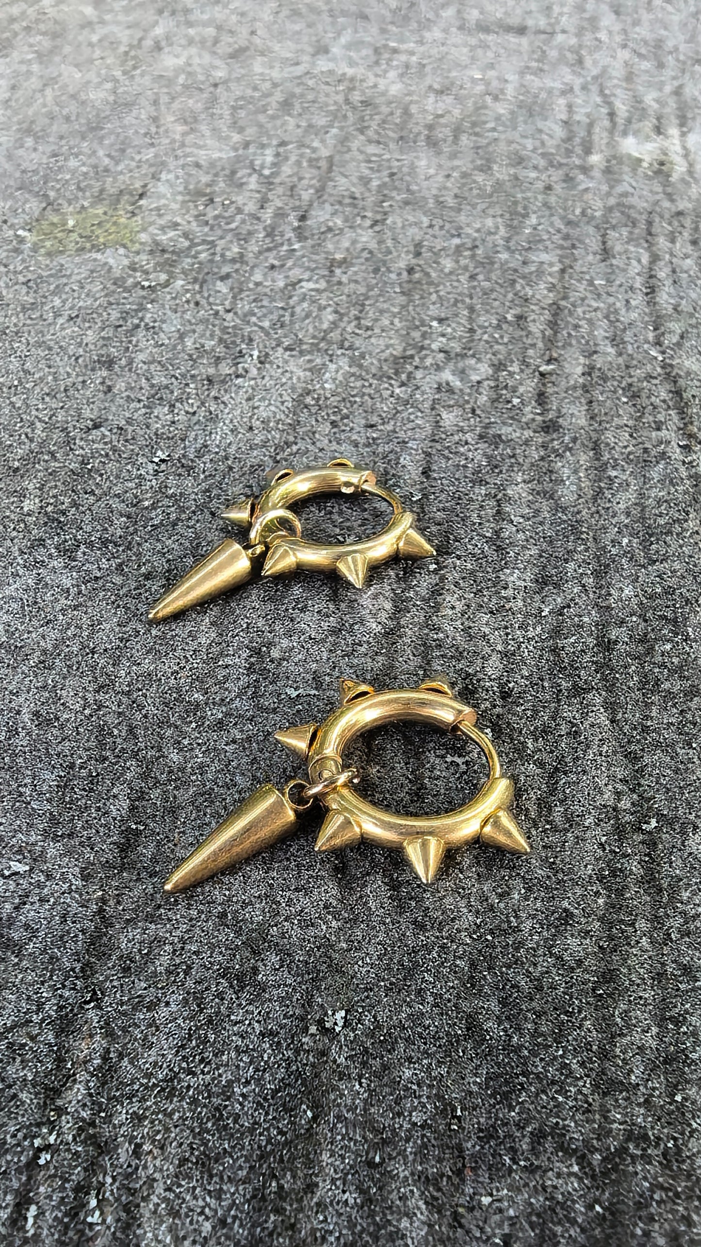 Stainless Steel Golden earrings