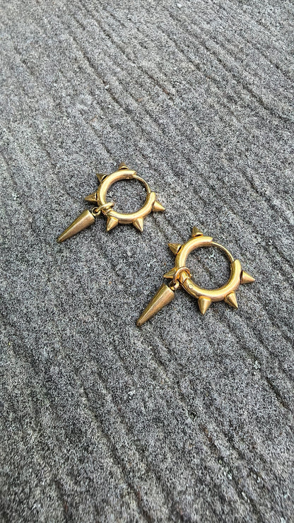 Stainless Steel Golden earrings