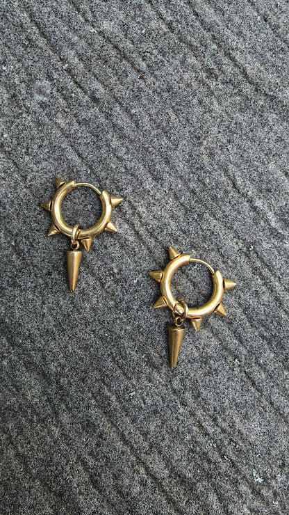 Stainless Steel Golden earrings